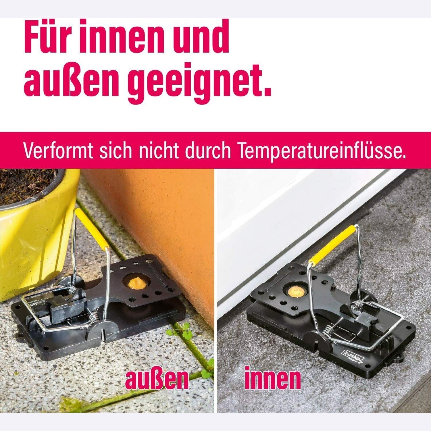 4x inseko Profi Rattenfallen