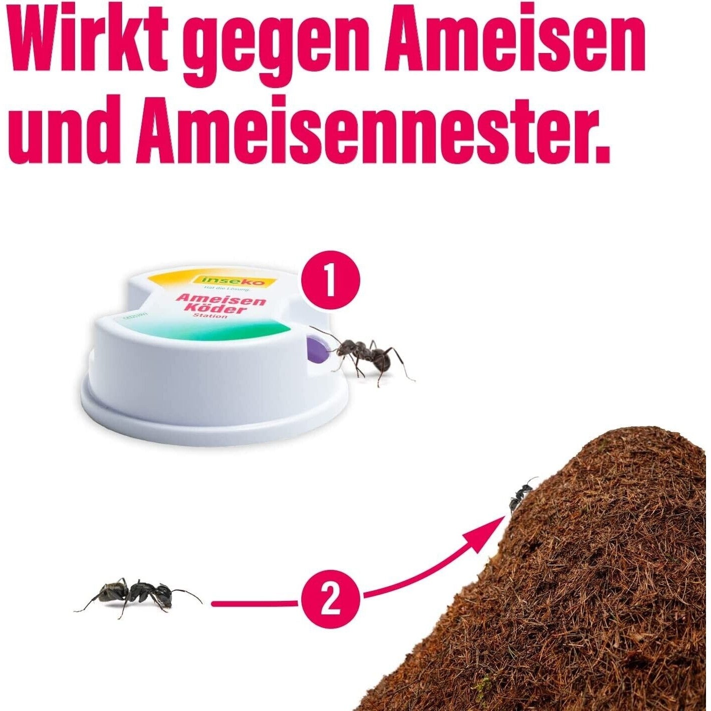 4x inseko Ameisen- Köderstation