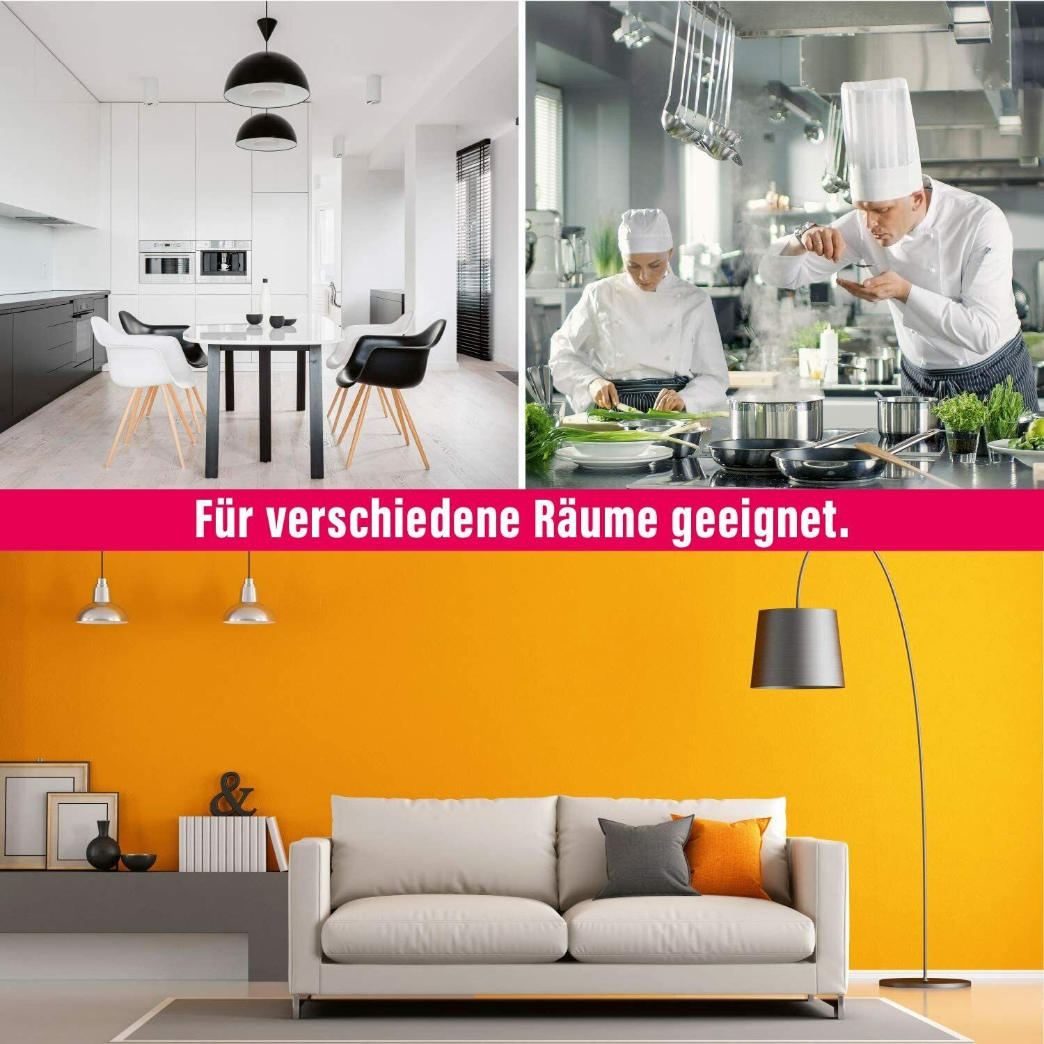 16x inseko Fenster Fliegenfallen
