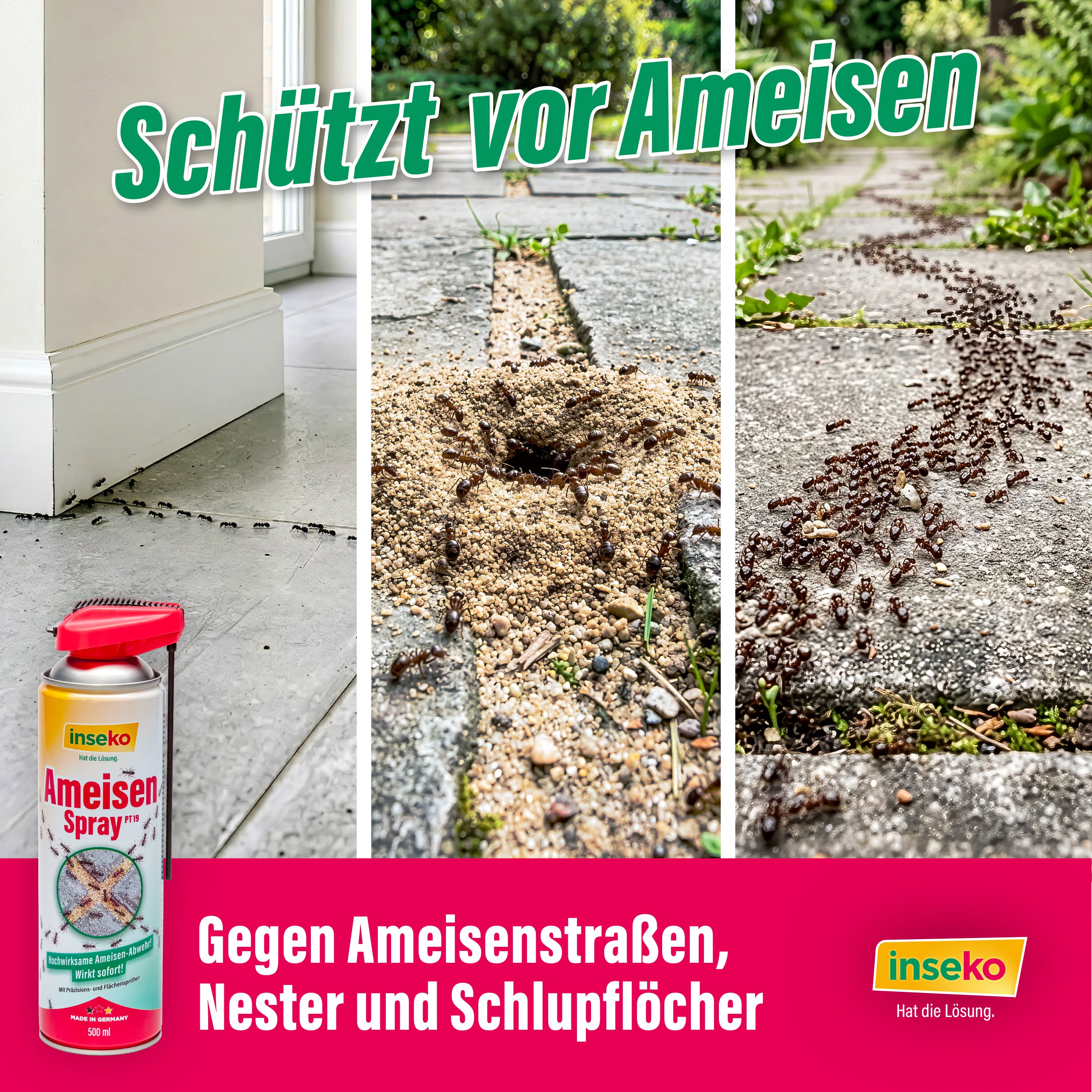1x inseko Ameisenspray 500ml