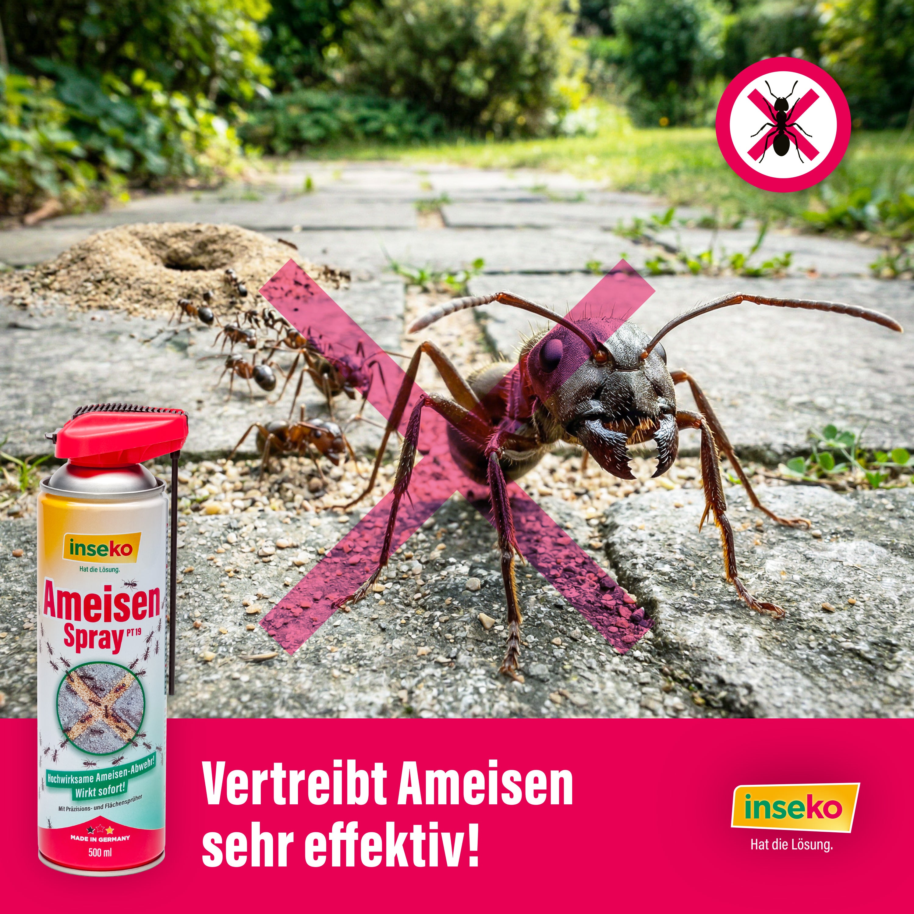 1x inseko Ameisenspray 500ml