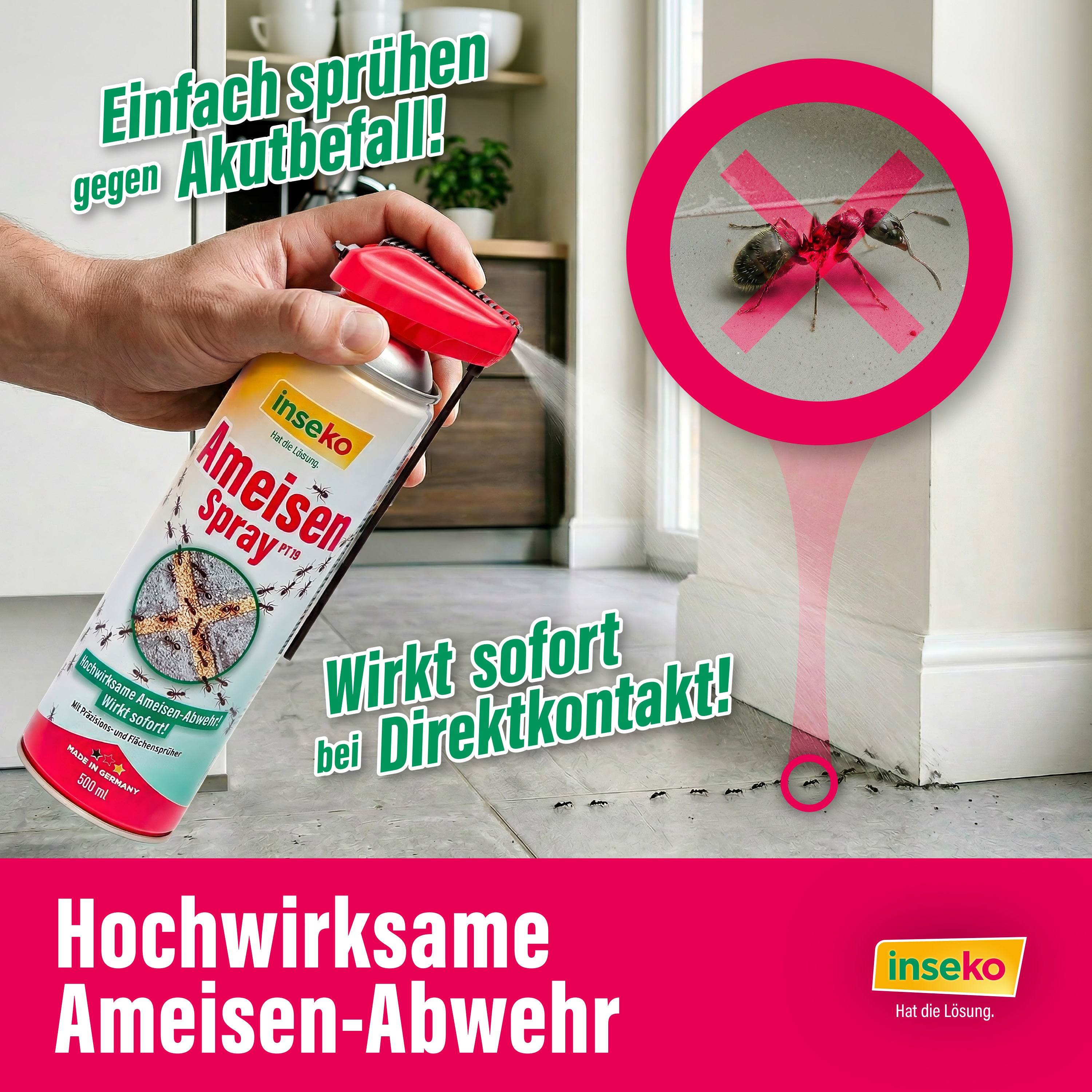 1x inseko Ameisenspray 500ml