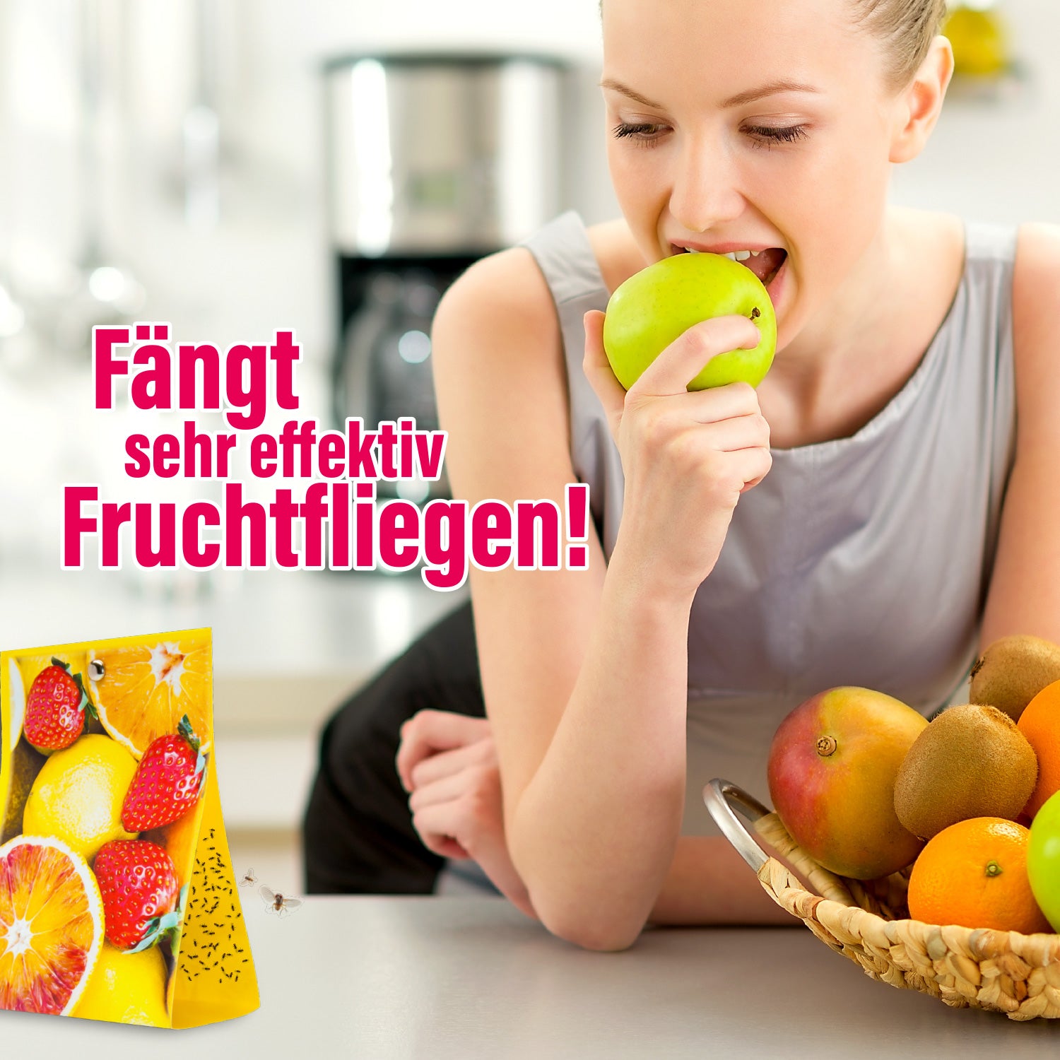 2x inseko Fruchtfliegenfalle