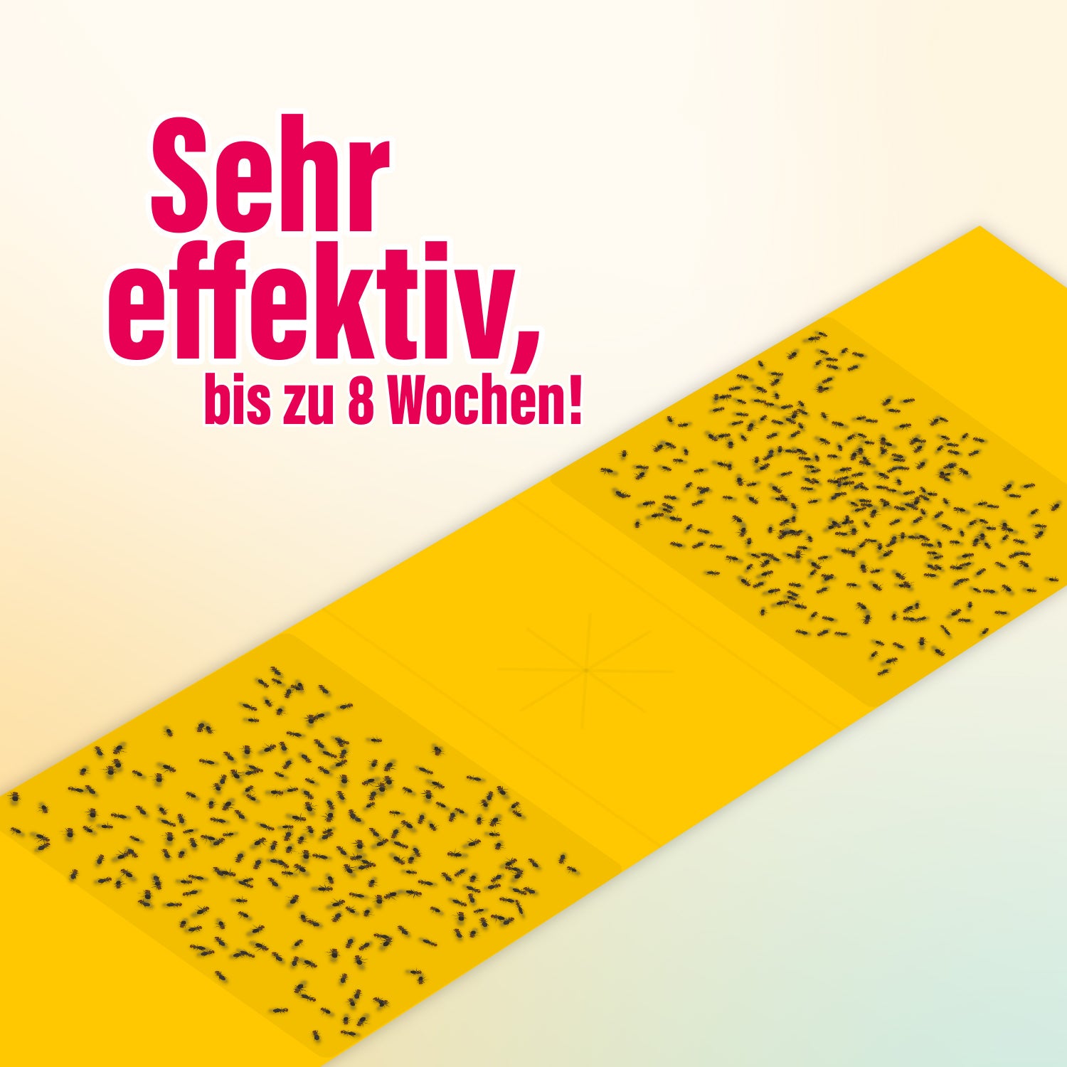 2x inseko Fruchtfliegenfalle