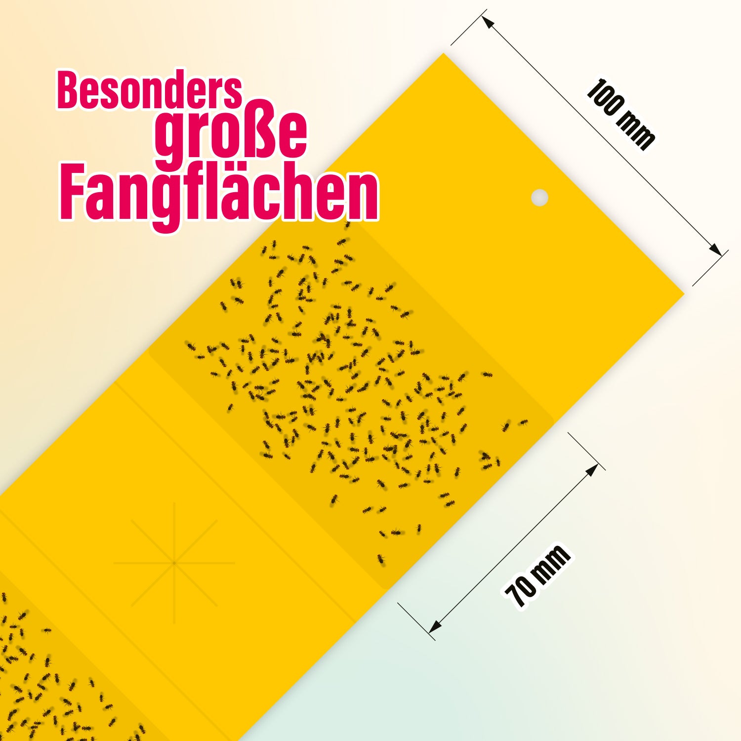 2x inseko Fruchtfliegenfalle