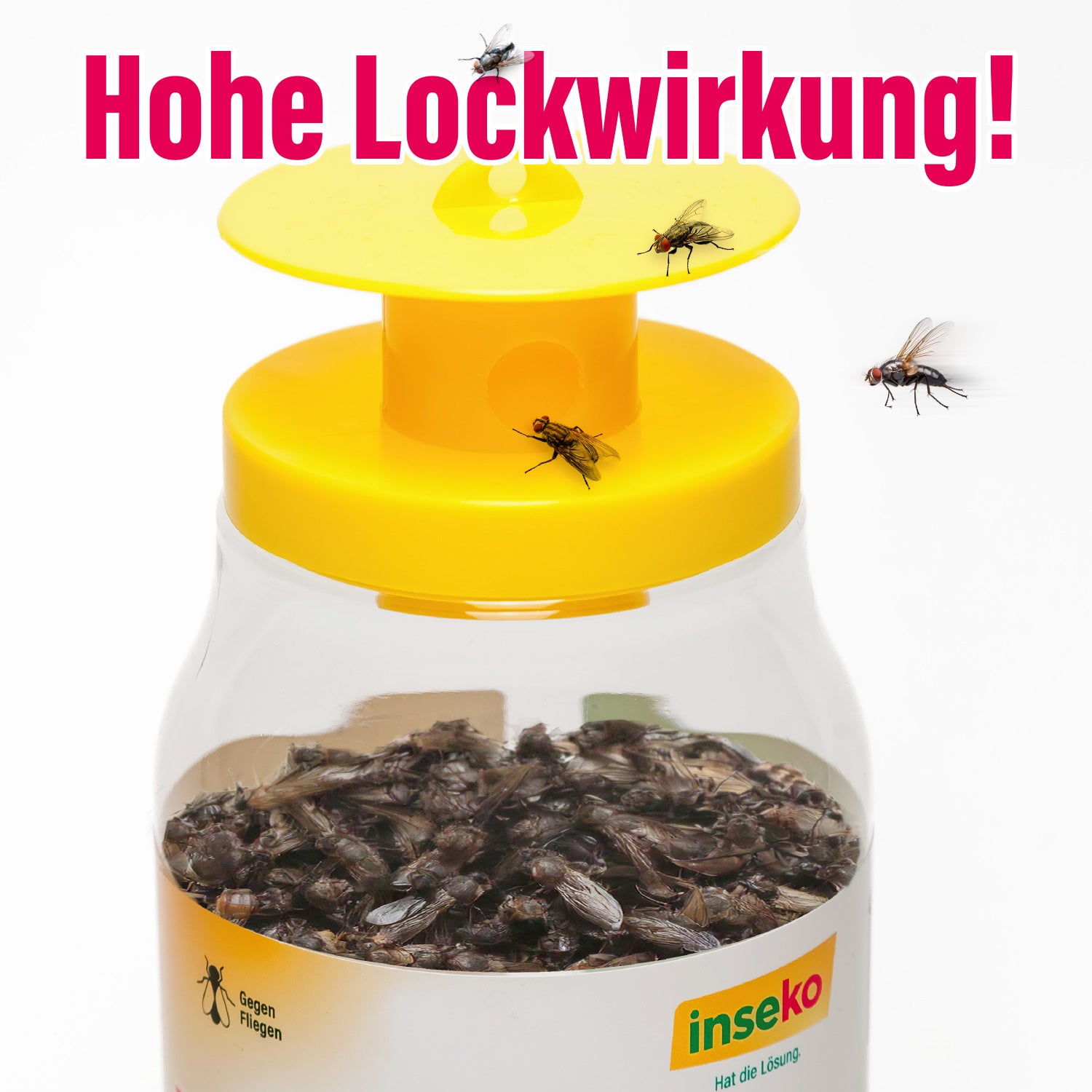 1x inseko Massen-Fliegenfalle